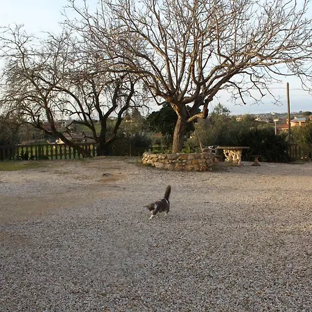 Le Casette In Collina Holiday home