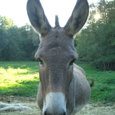 Prázdninový dům Le Casette In Collina *